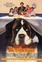 BEETHOVEN BEETHOVEN