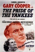 yankee
