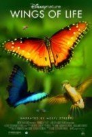 wings of life