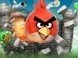 Coming Soon – ANGRY BIRDS, The Movie Coming Soon – ANGRY BIRDS, The Movie