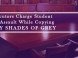 Prosecutors Charge Student with Assault While Copying FIFTY SHADES Prosecutors Charge Student with Assault While Copying FIFTY SHADES